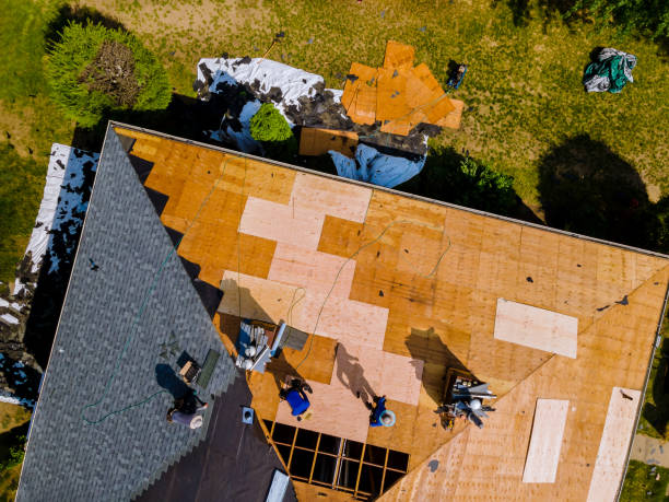Best Roof Gutter Cleaning  in Portage, MI